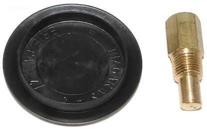 RAYPAK DRAIN PLUG & COVER 005264F