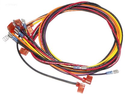 WIRE/HARNESS STD. RAYPAK 005269F