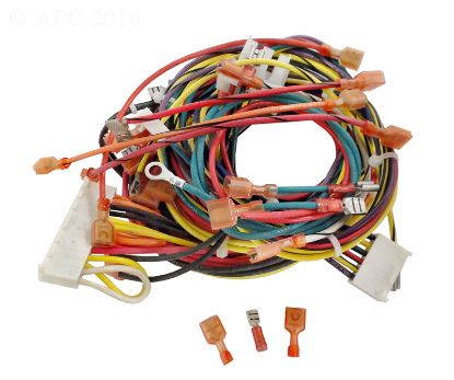 WIRE/HARNESS IID  RAYPAK 005270F