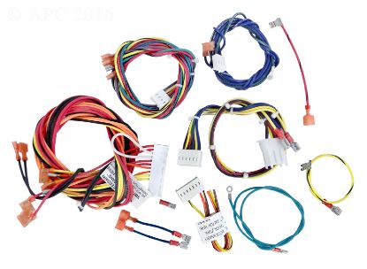 RAYPAK WIRE HARNESS IID 006738F