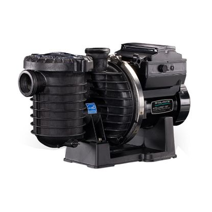 230V INTELLIPRO VSF VAR SPD AND VAR FLOW IG PUMP 2IN FPT W/  13004