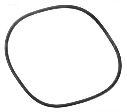 SWIMQUIP TANK O-RING O100 24700-0068