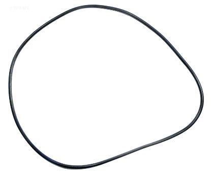 SWIMQUIP TANK O-RING O106 24700-0073