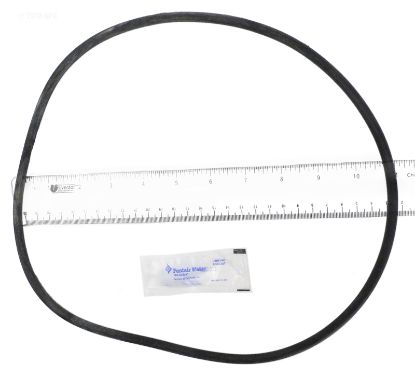 TANK O-RING 25230-0010S