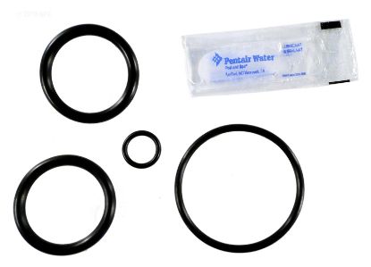 PENTAIR REBUILD KIT FOR PUSH/PULL VALVE 273109