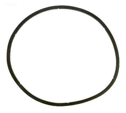 PENTAIR LID GASKET FOR EQ PUMP 350166