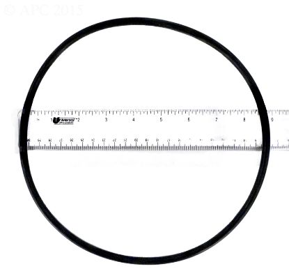 SEAL PLATE O-RING XF SERIES 351446