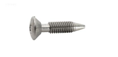 SWIMQUIP POOL LIGHT RETAINING SCREW 8-32x5/16 37337-0079