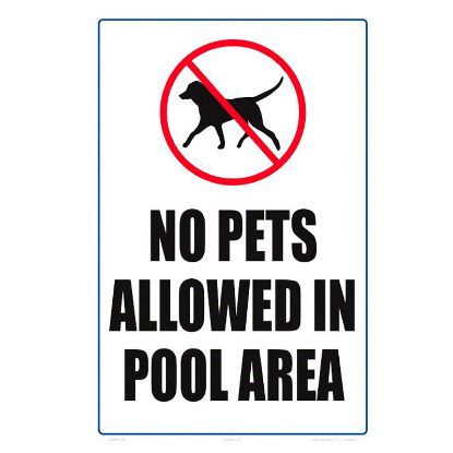 NO PETS ALLOWED 12X18 PLASTIC 6702WS1218E