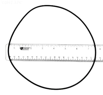 355051412 SWIMQUIP O-RING O463 PENTAIR / AMERICAN 51016700  O-463