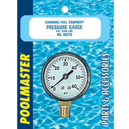 POOLMASTER #36670 GAUGE 1/4IN 36670