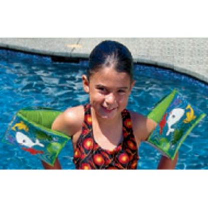 AQUA FUN ARM FLOATS 81241