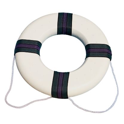 FOAM RING BUOY 89870