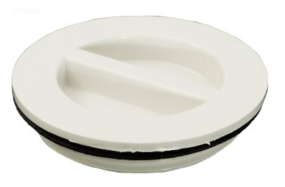 FLUSH PLUG 1 1/2INWITH GASKET - WHITE 400-4140